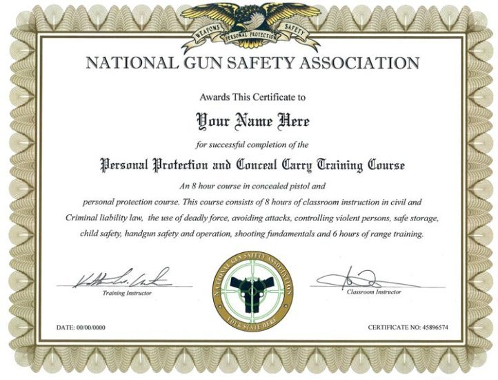 (image for) Fake Gun Safety Certificate