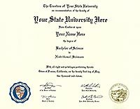 Fake Diplomas, Fake College Diploma